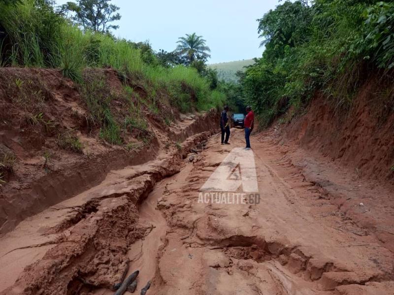 La Route nationale n°19 reliant Kikwit à Bulungu